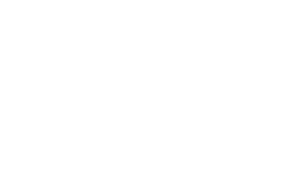 surveyor qualified